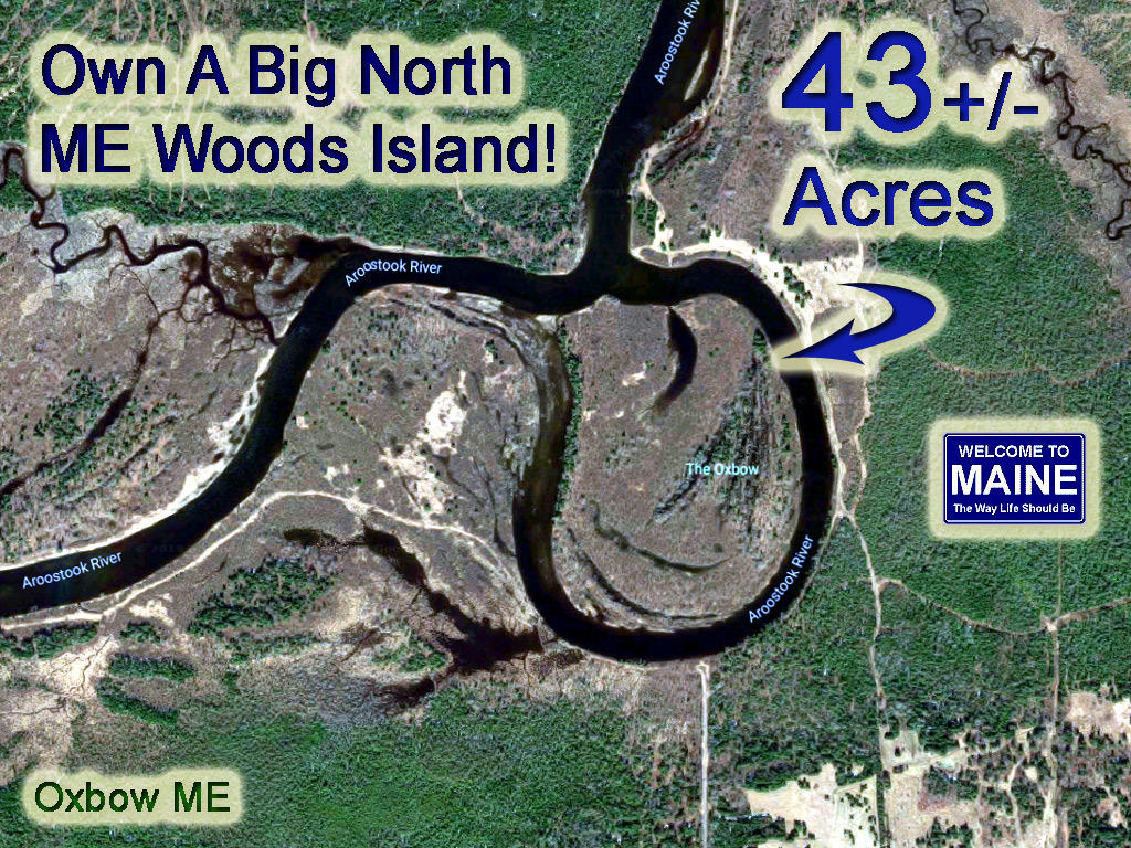 Lot 12 River Road Oxbow, ME 04764 - Photo 1 of 5 oxbow-island-me-woodlot