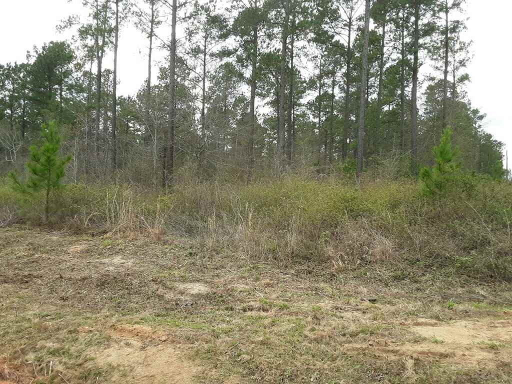 5 Flournoy Road Elko, GA 31025 - Photo 1 of 1