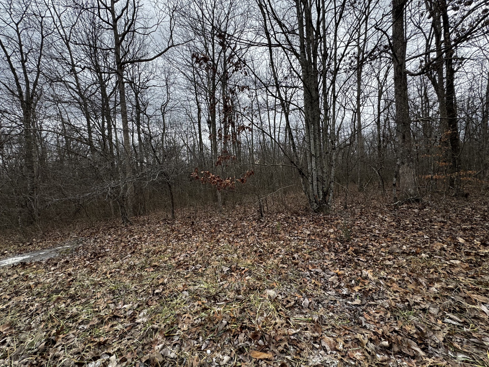 0 Hunters Ridge Drive Altamont, TN 37301 - Photo 1 of 1 Gallery Image 1