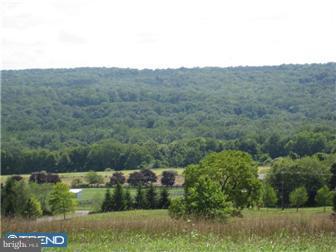 4 Shull Farm Road Erwinna, PA 18920 - Photo 6 of 12