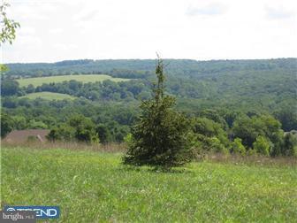 4 Shull Farm Road Erwinna, PA 18920 - Photo 8 of 12