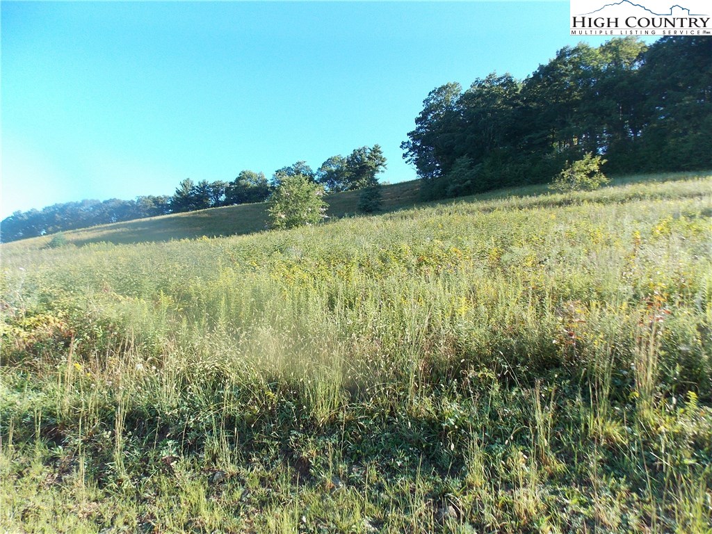 Lot 29 Hartley Knob Boone, NC 28607 - Photo 1 of 8 a view of a yard with an outdoor space and seating