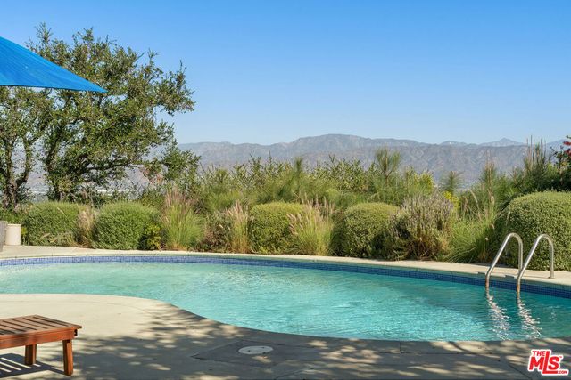 a view of a garden with a bench in a yard