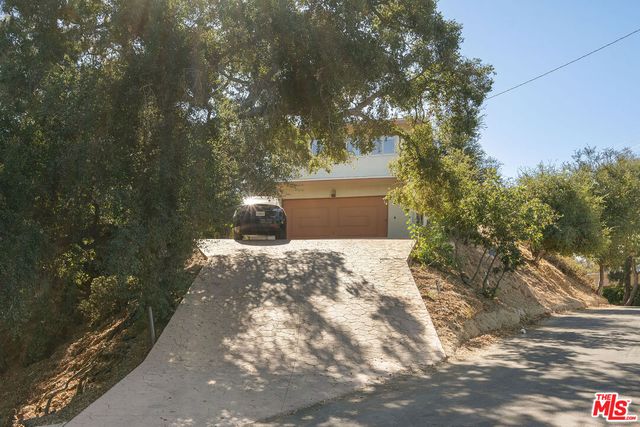 a view of a yard with large tree