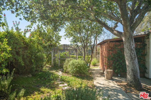 a view of a yard with plants and large trees