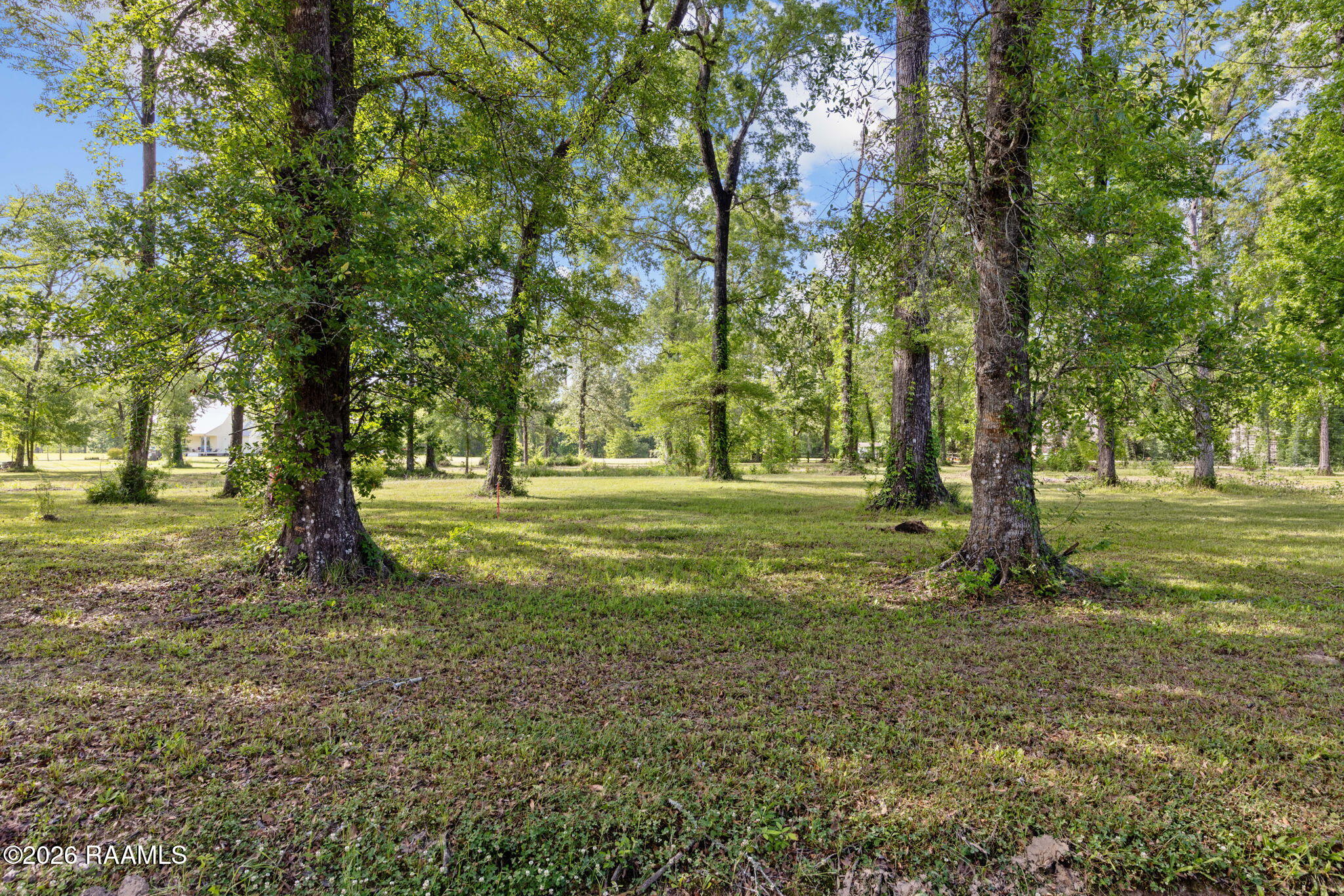 71 McVeigh Road Arnaudville, LA 70512 - Photo 3 of 15 3-web-or-mls-803A5239