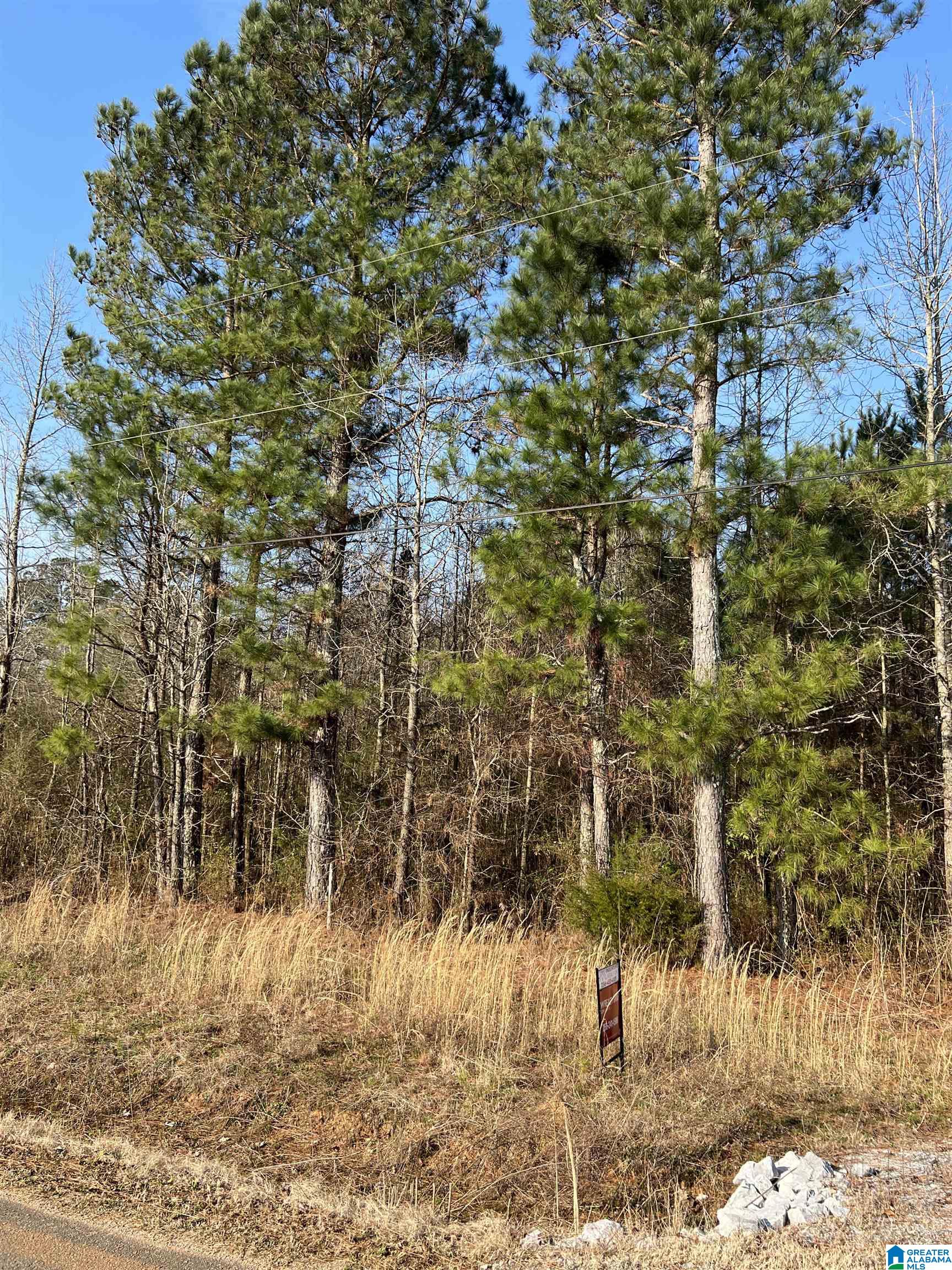 1075 Earl Roberts Road, Unit 1075 Anniston, AL 36207 - Photo 1 of 4