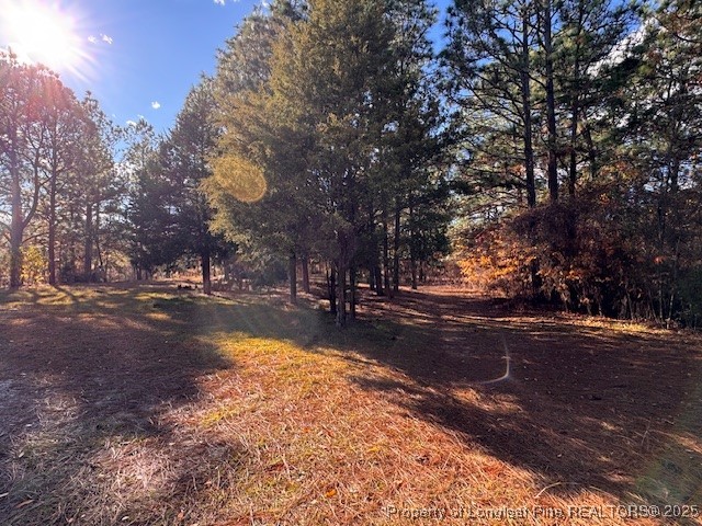 3156 Reservation Road Aberdeen, NC 28315 - Photo 14 of 15 a view of road with trees