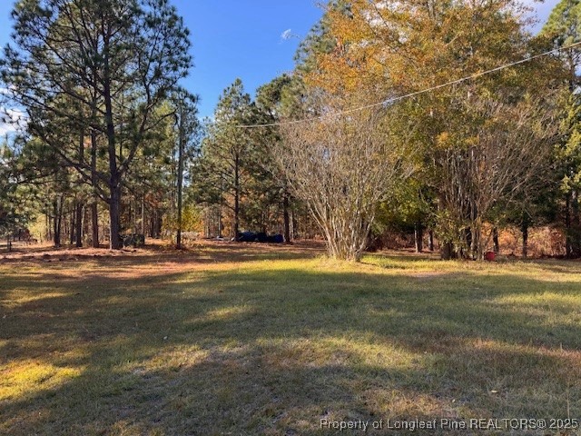 3156 Reservation Road Aberdeen, NC 28315 - Photo 15 of 15 a view of a playground with basketball court