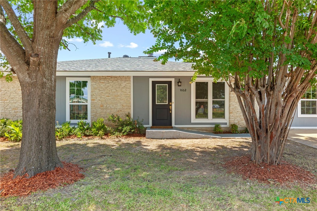 1602 Provident Lane Round Rock, TX 78664 - Photo 7 of 28