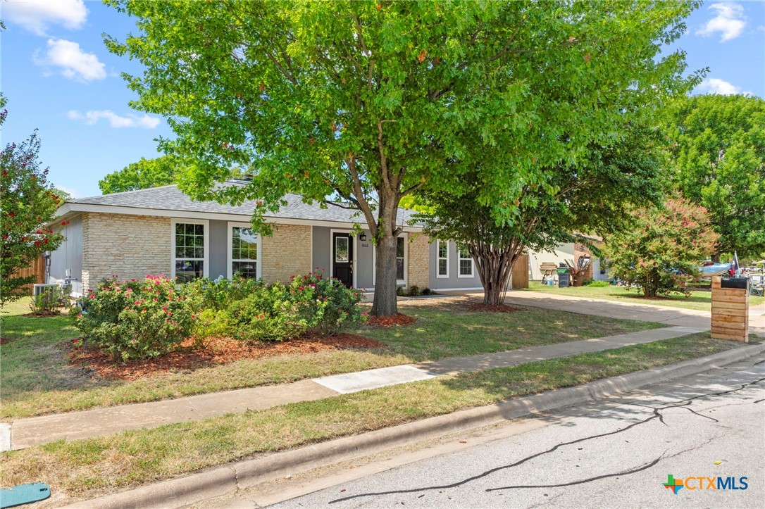 1602 Provident Lane Round Rock, TX 78664 - Photo 8 of 28