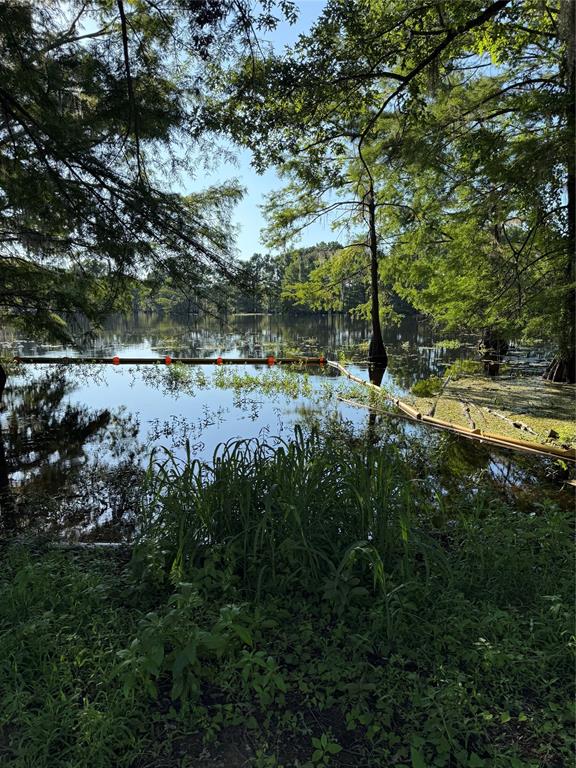 0 Diamond T Road Heflin, LA 71039 - Photo 1 of 7 A stunning Lake Bistineau waterfront view. Perfect for a fishing pier or sun deck!