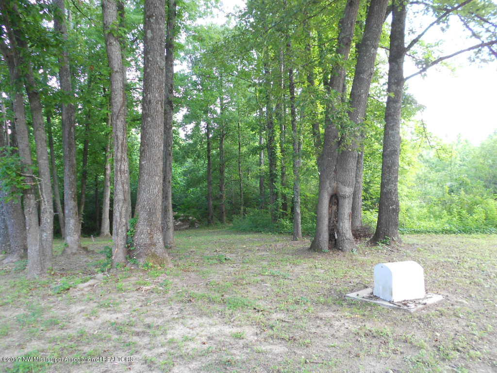 4600 Lamar Road Lamar, MS 38642 - Photo 28 of 33 DSCN8041