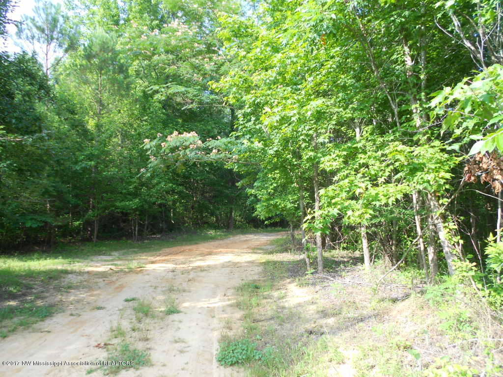 4600 Lamar Road Lamar, MS 38642 - Photo 30 of 33 DSCN8043