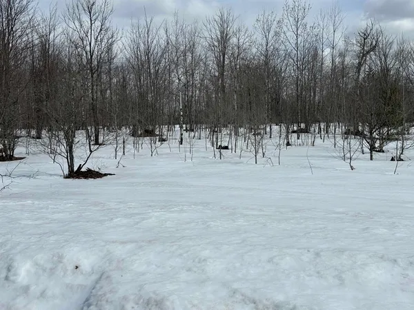 $3,500 | Tbd Tbd Clarmont Drive, Elmira, MI 49730