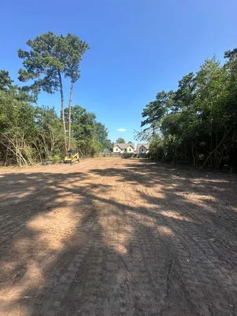 a view of a yard with a tree