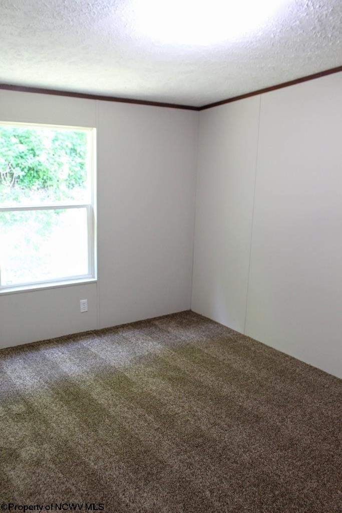 5883 Saltlick Road Terra Alta, WV 26764 - Photo 10 of 23 Gallery Image 10