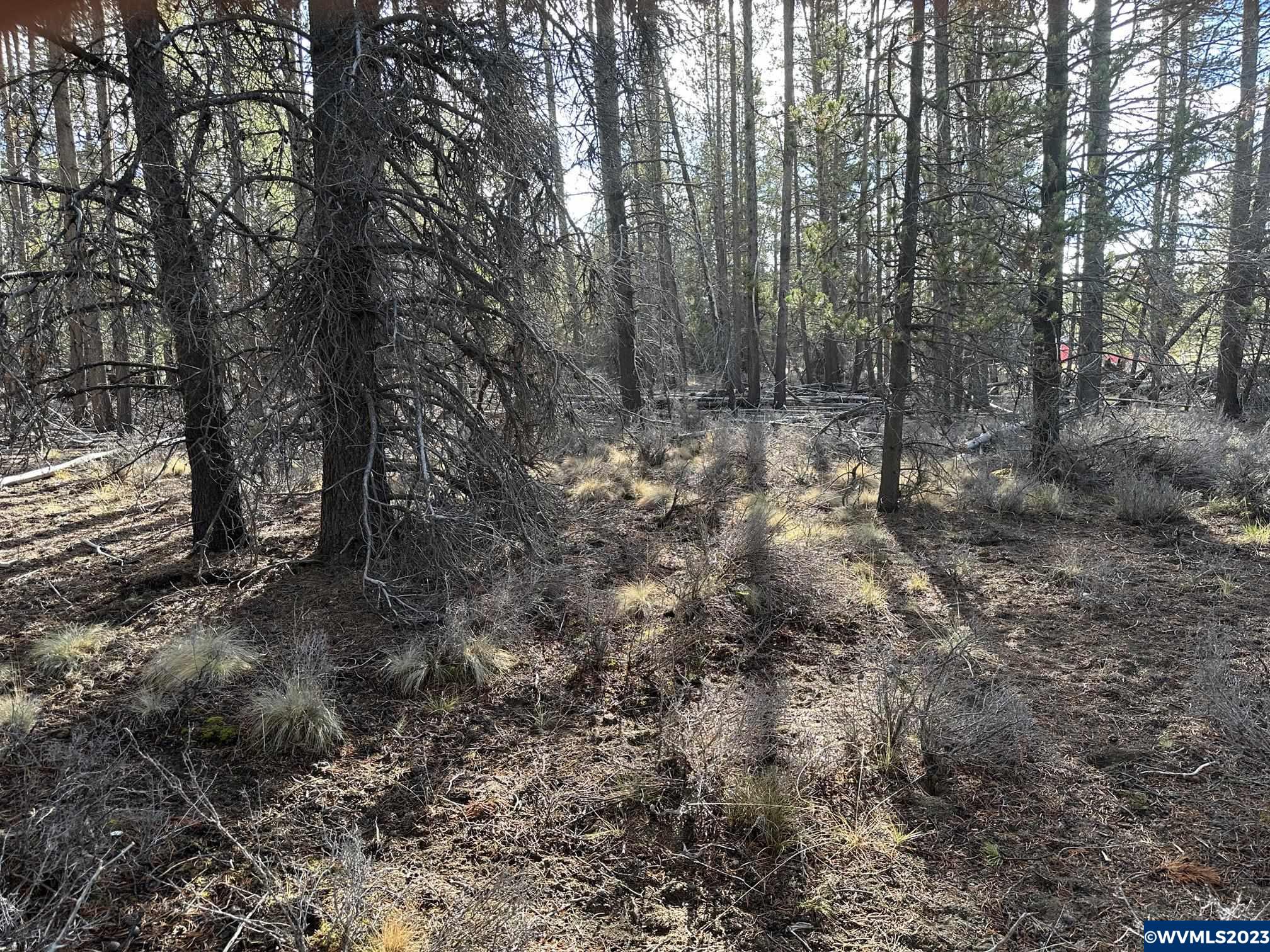 Split Rail Road La Pine, OR 97739 - Photo 7 of 26 Gallery Image 7