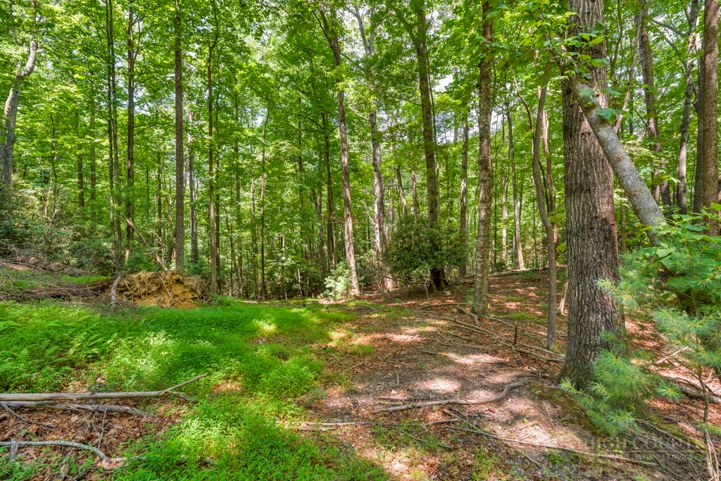 11-14 Powder Horn Mountain Road Deep Gap, NC 28618 - Photo 10 of 38