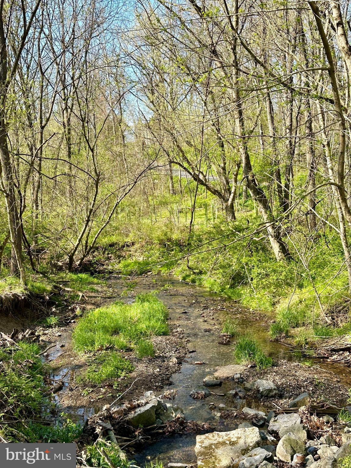 11449 A Alton Road Frederick, MD 21701 - Photo 19 of 25 a backyard of a house with a tree