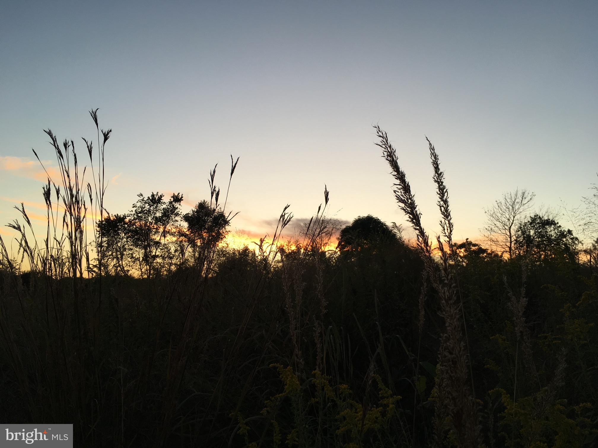 11449 A Alton Road Frederick, MD 21701 - Photo 20 of 25 a view of a yard in front of a house