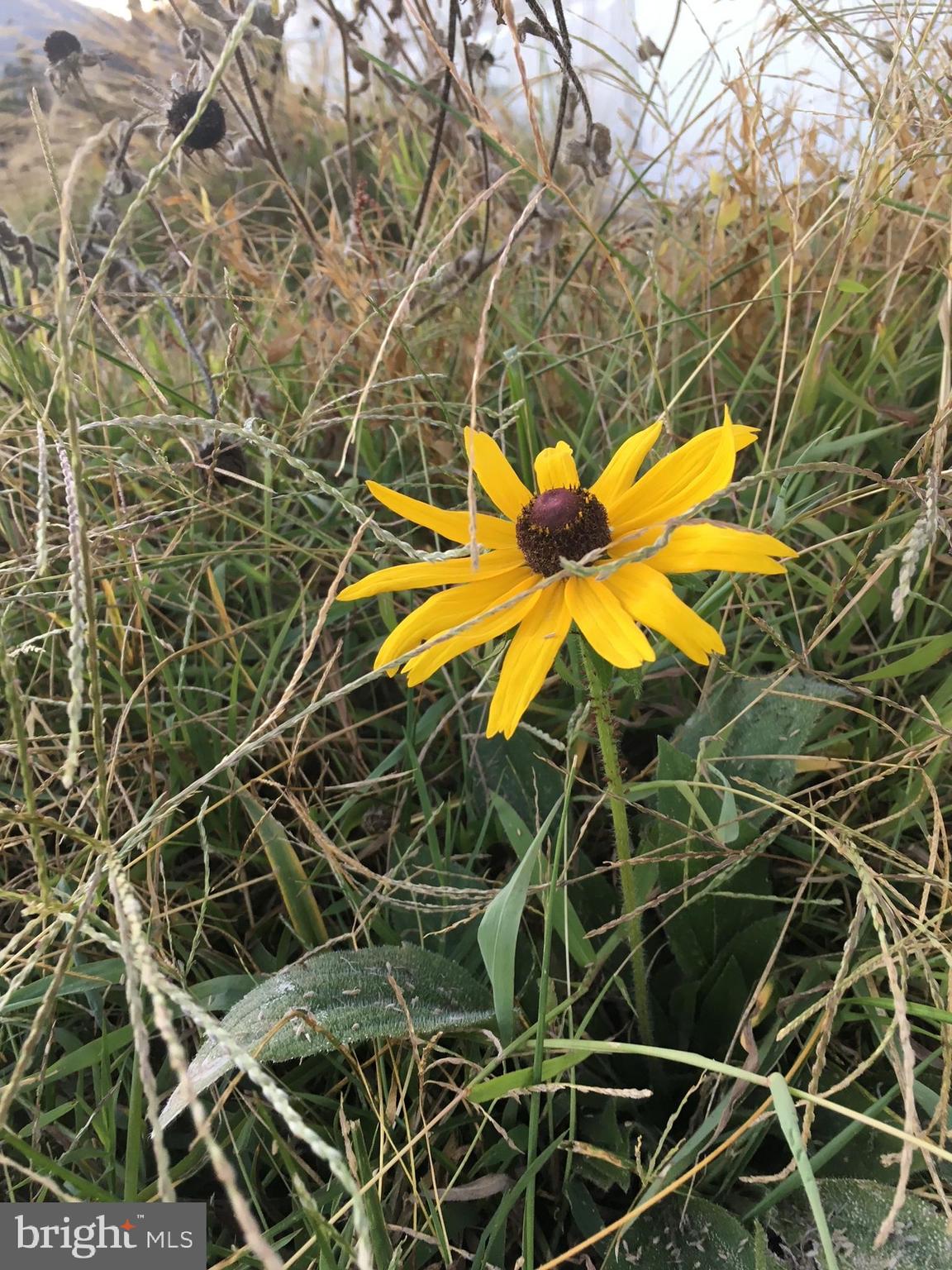 11449 A Alton Road Frederick, MD 21701 - Photo 22 of 25