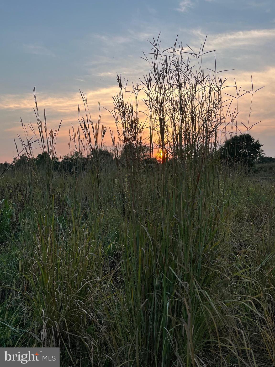 11449 A Alton Road Frederick, MD 21701 - Photo 25 of 25 a view of a yard