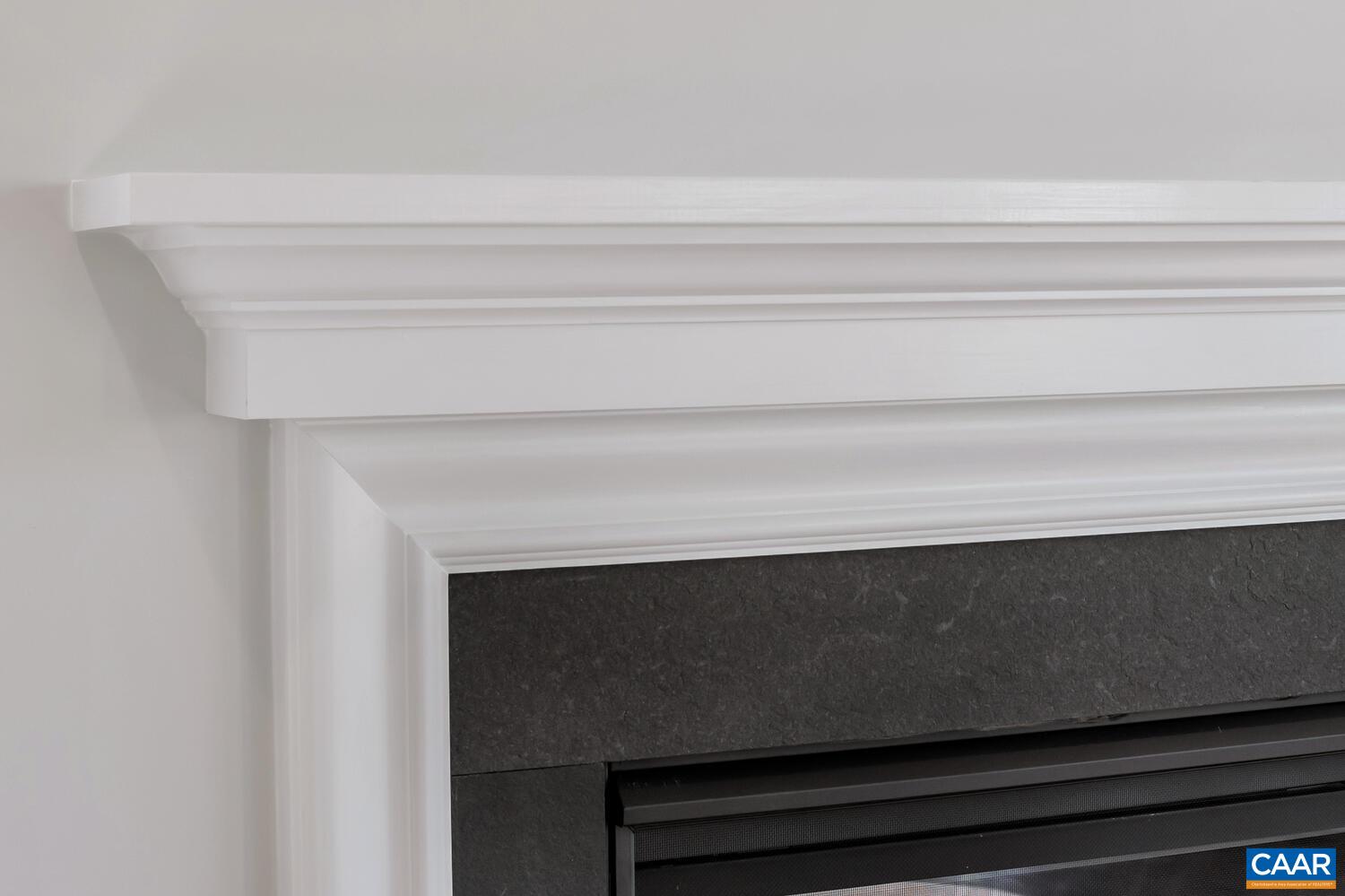 1150 Riparian Court Charlottesville, VA 22911 - Photo 17 of 67 a close view of fireplace