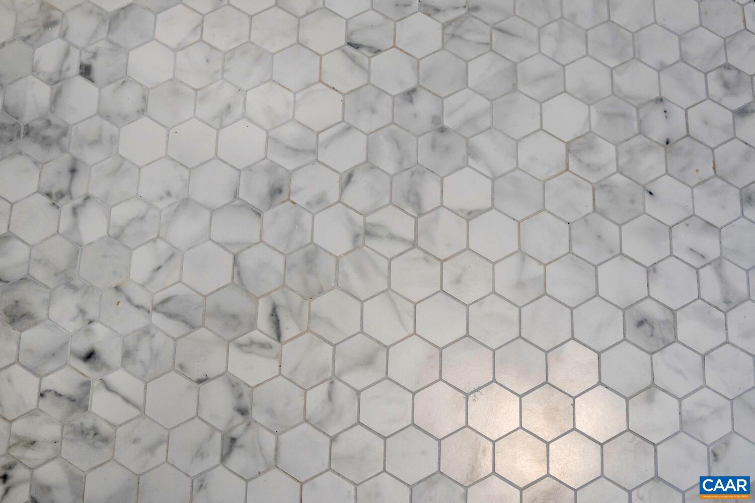 1150 Riparian Court Charlottesville, VA 22911 - Photo 36 of 67