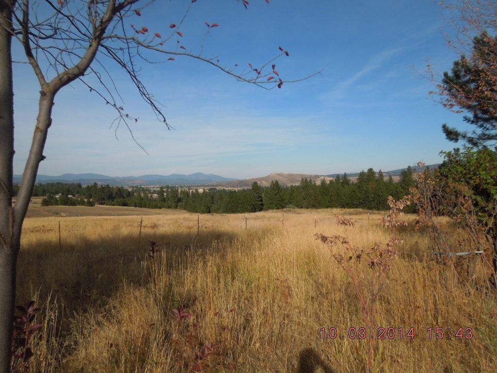 4227 South Chapman Road Greenacres, WA 99016 - Photo 18 of 20