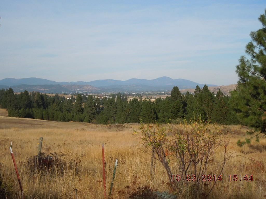 4227 South Chapman Road Greenacres, WA 99016 - Photo 19 of 20