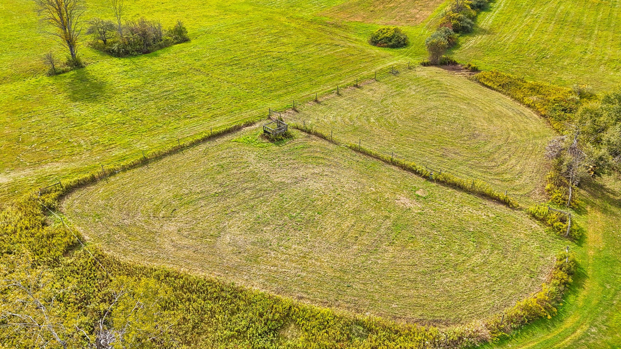 239 Rockwell Road Vestal, NY 13850 - Photo 11 of 50