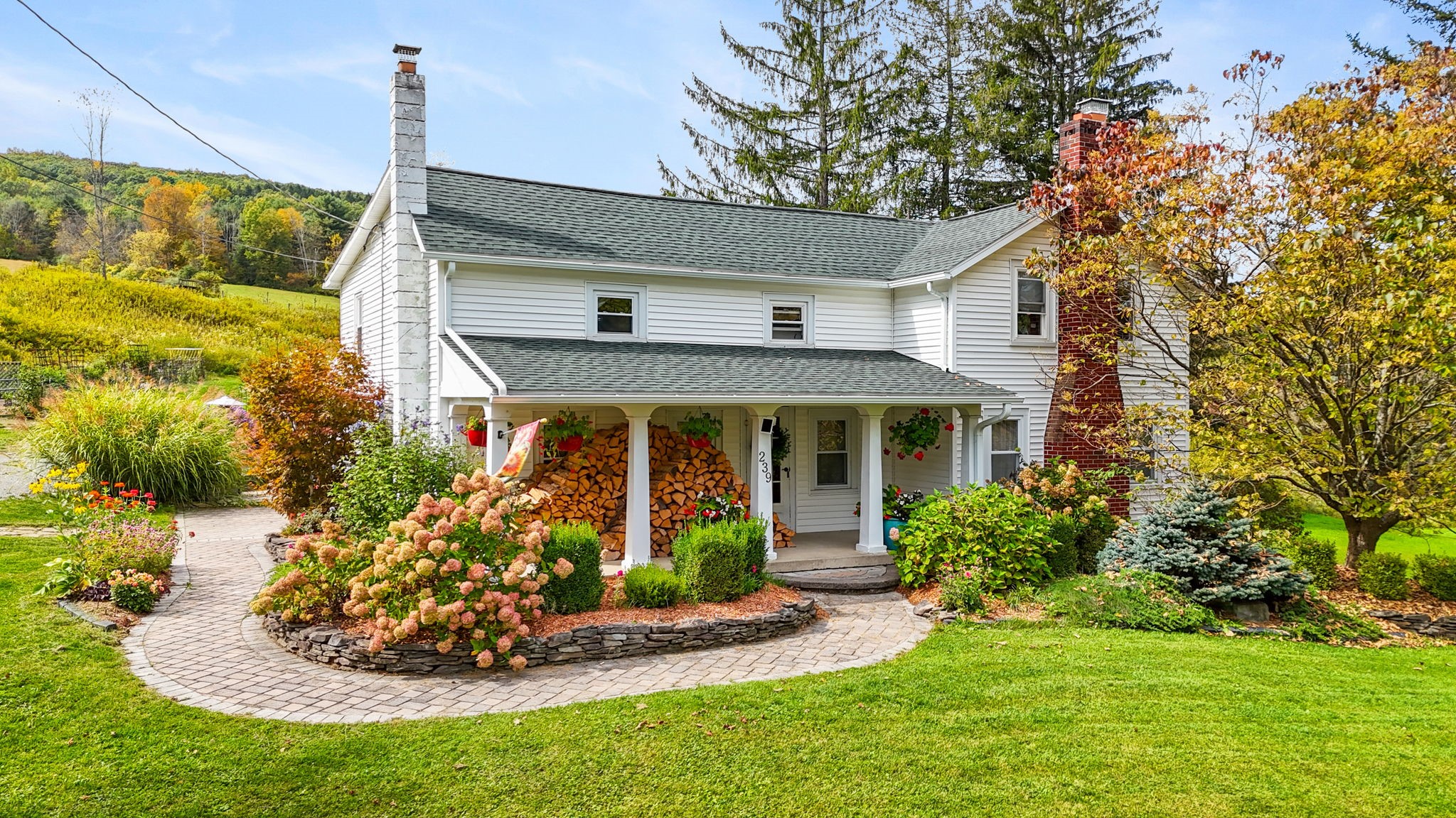 239 Rockwell Road Vestal, NY 13850 - Photo 2 of 50