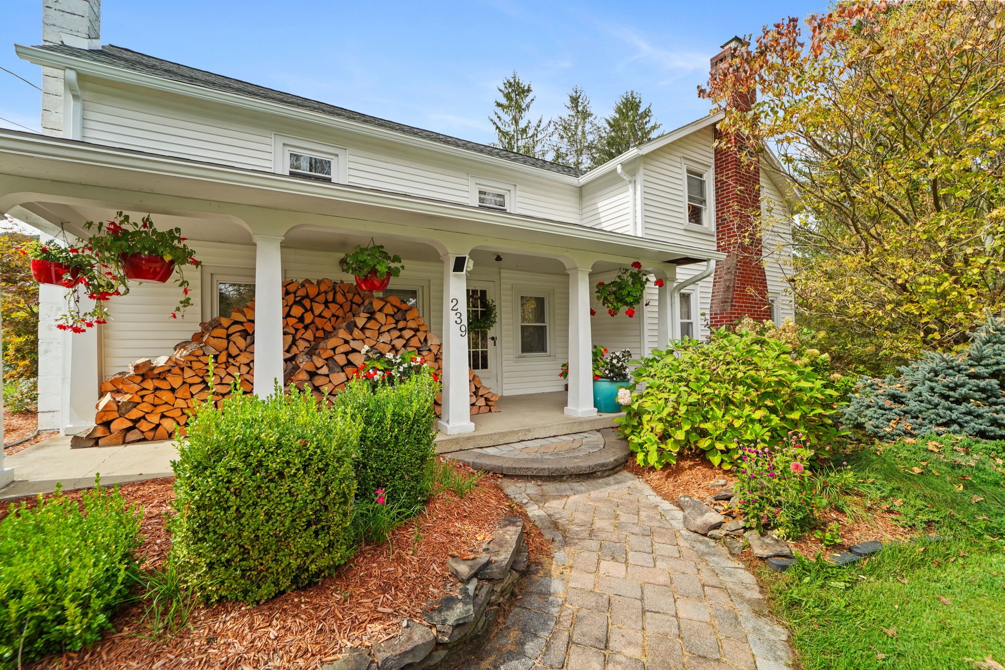 239 Rockwell Road Vestal, NY 13850 - Photo 3 of 50