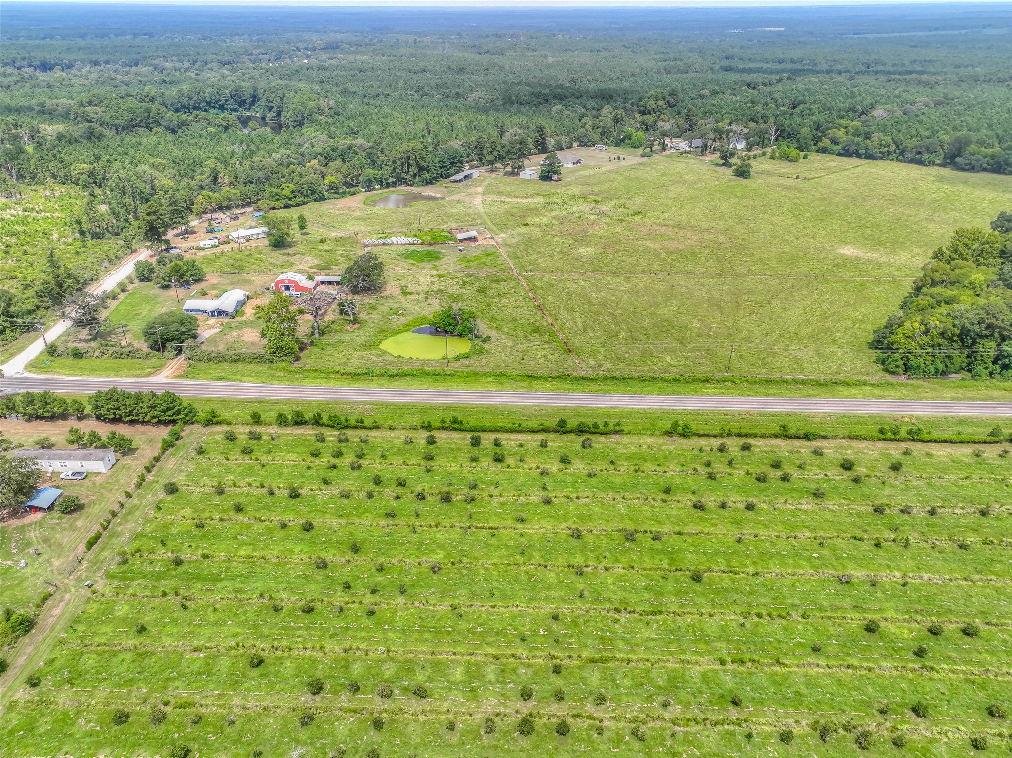6982 Highway 94 Trinity, TX 75862 - Photo 33 of 33 a view of a yard with an outdoor space