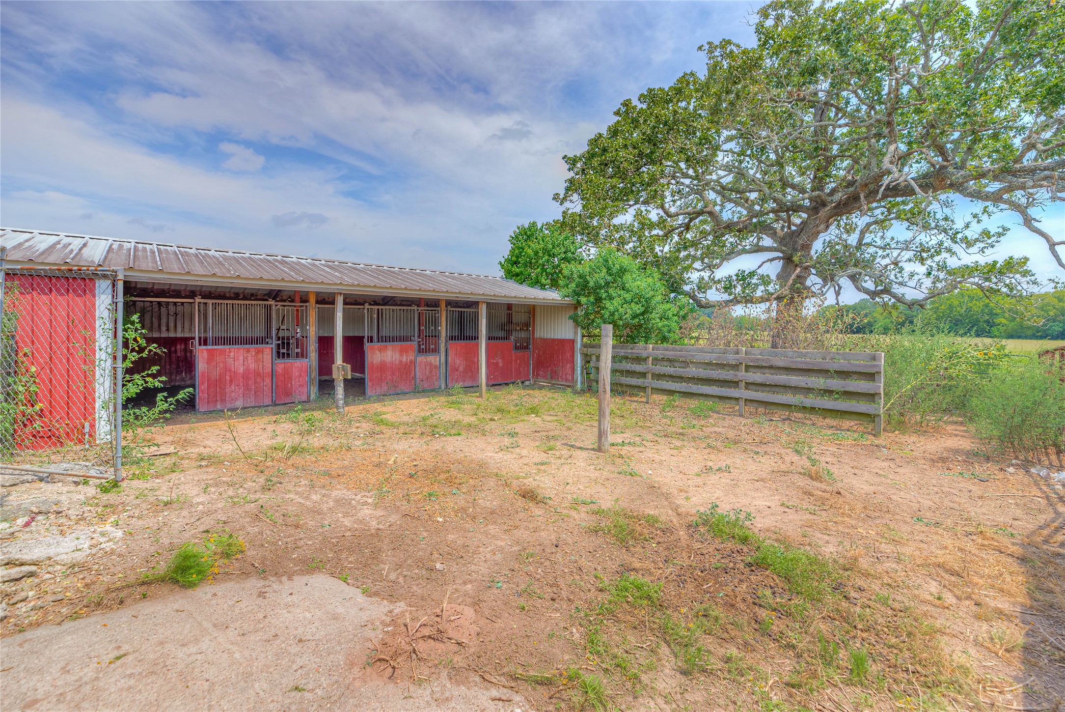 6982 Highway 94 Trinity, TX 75862 - Photo 6 of 33 a view of a house with a backyard and a large tree