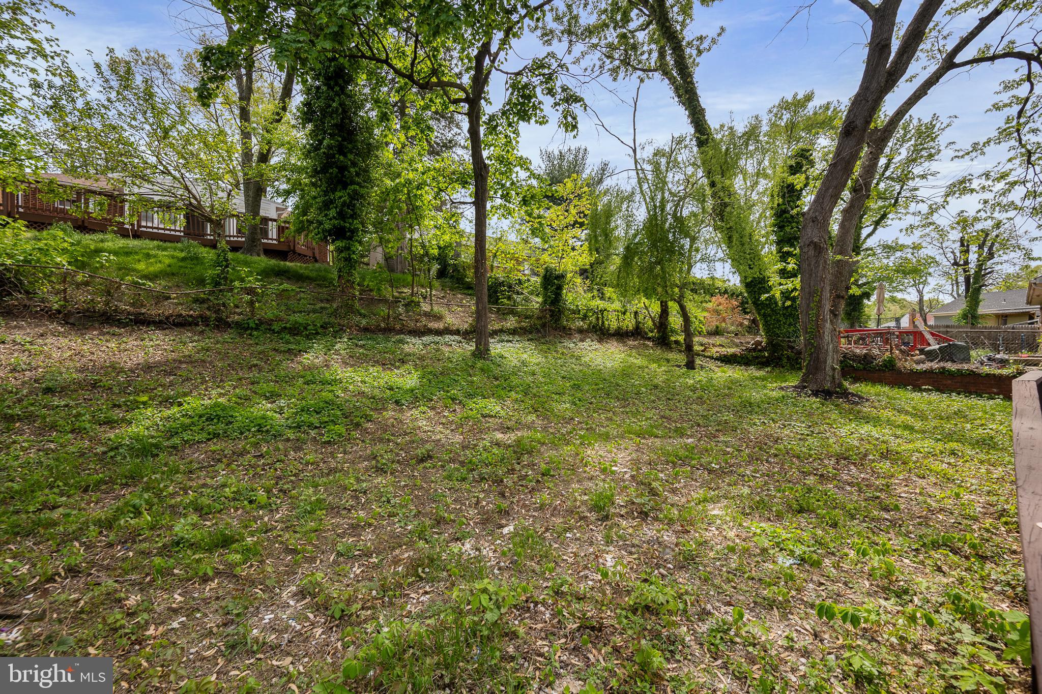 6907 Kipling Parkway District Heights, MD 20747 - Photo 37 of 39 a view of a tree in a yard