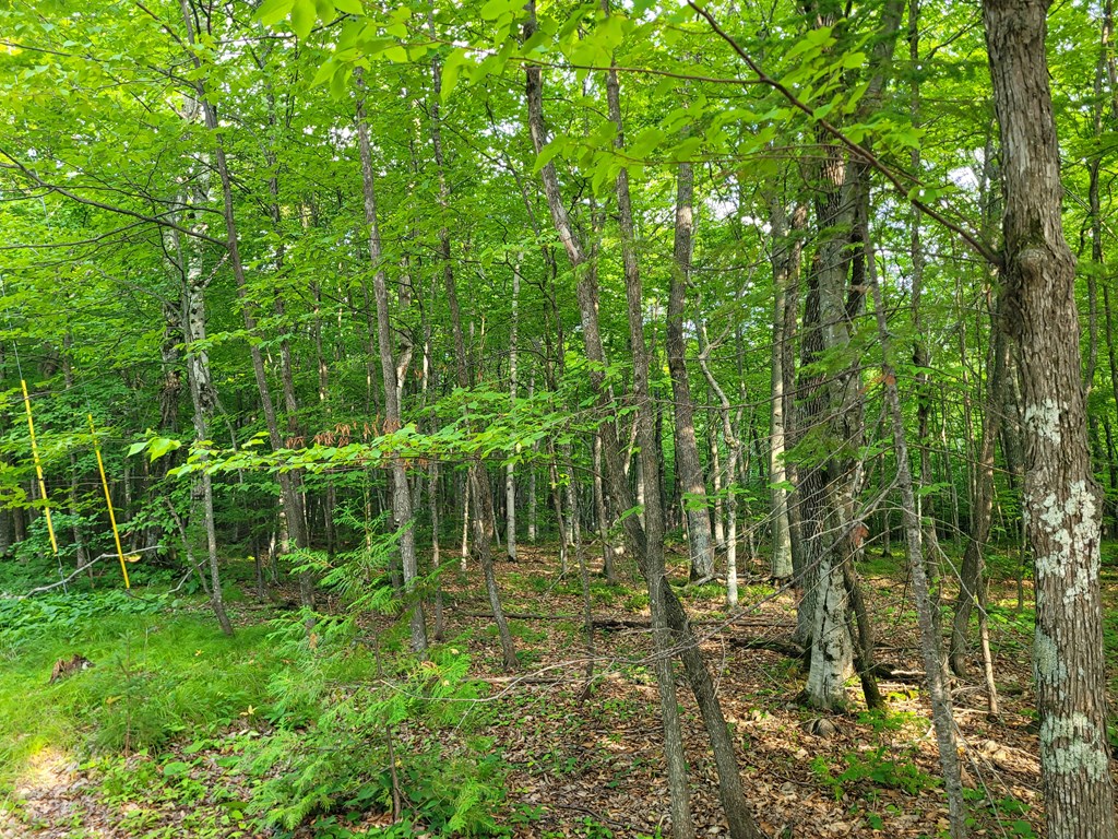 Tbd East Door Blf Road Ellison Bay, WI 54210 - Photo 4 of 5