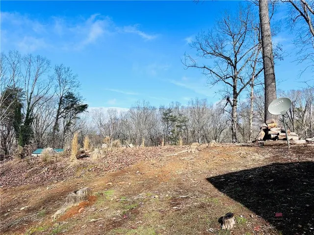 a view of a yard with trees