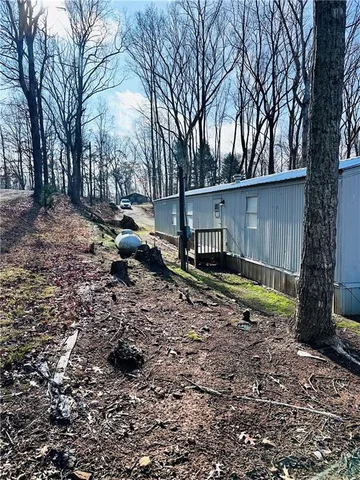 a view of backyard and tree