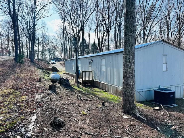 a view of a backyard with a tree