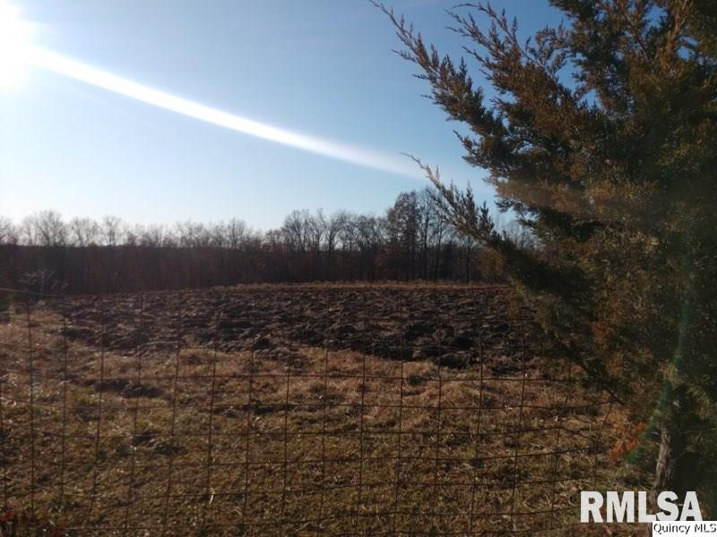 Ne Sect 36 Columbus Twp Camp Point, IL 62320 - Photo 6 of 7 Gallery Image 6
