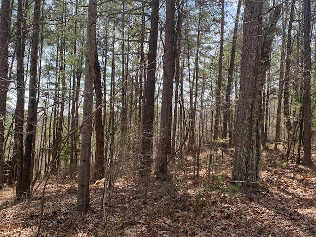 483 Marque Lane Northeast Ranger, GA 30734 - Photo 2 of 21 Gallery Image 2