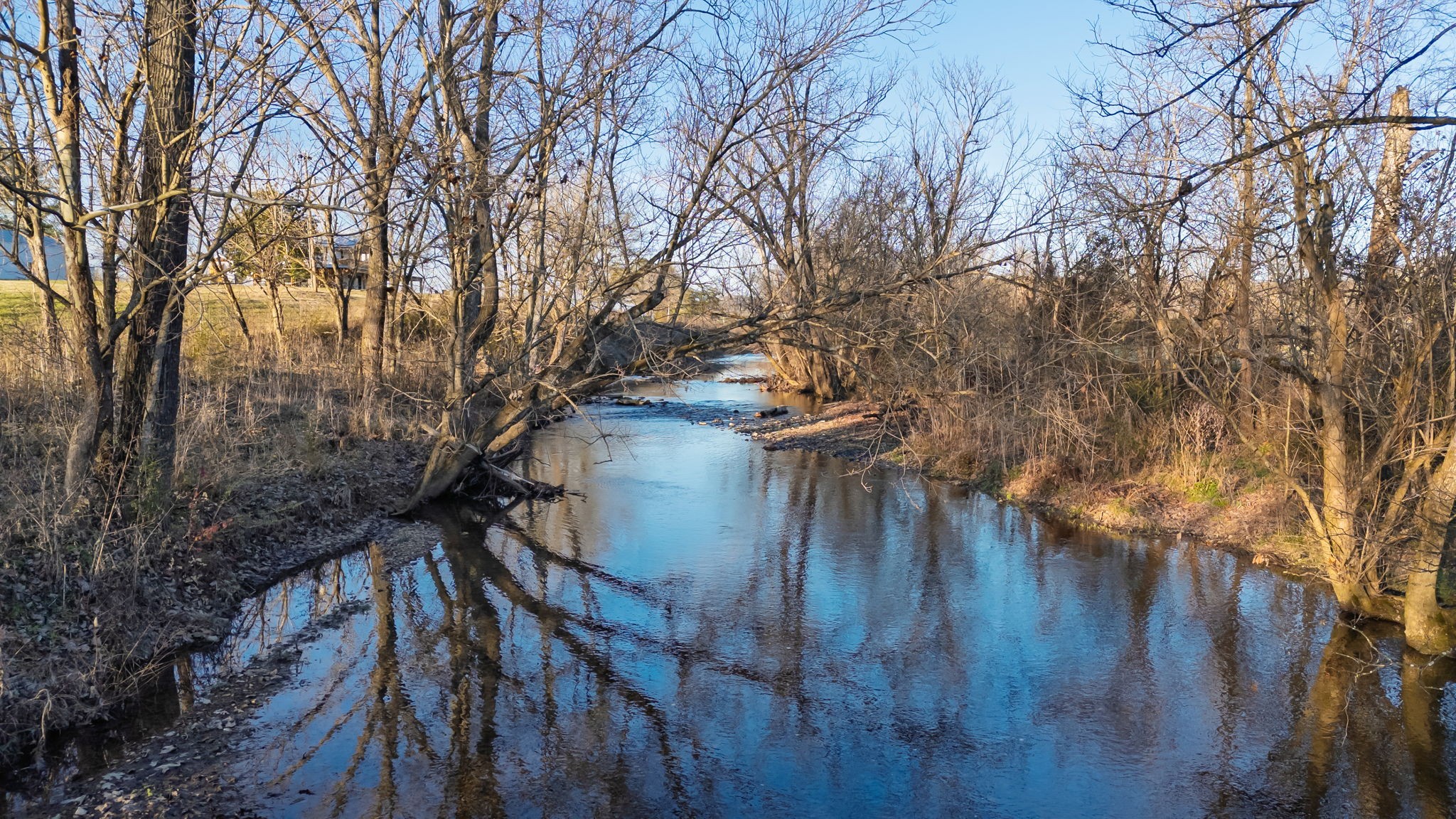4824 Leipers Creek Road Williamsport, TN 38487 - Photo 17 of 34 a backyard of a house with lots of green space