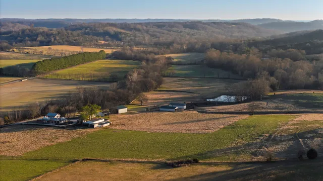a view of a swimming pool with a yard