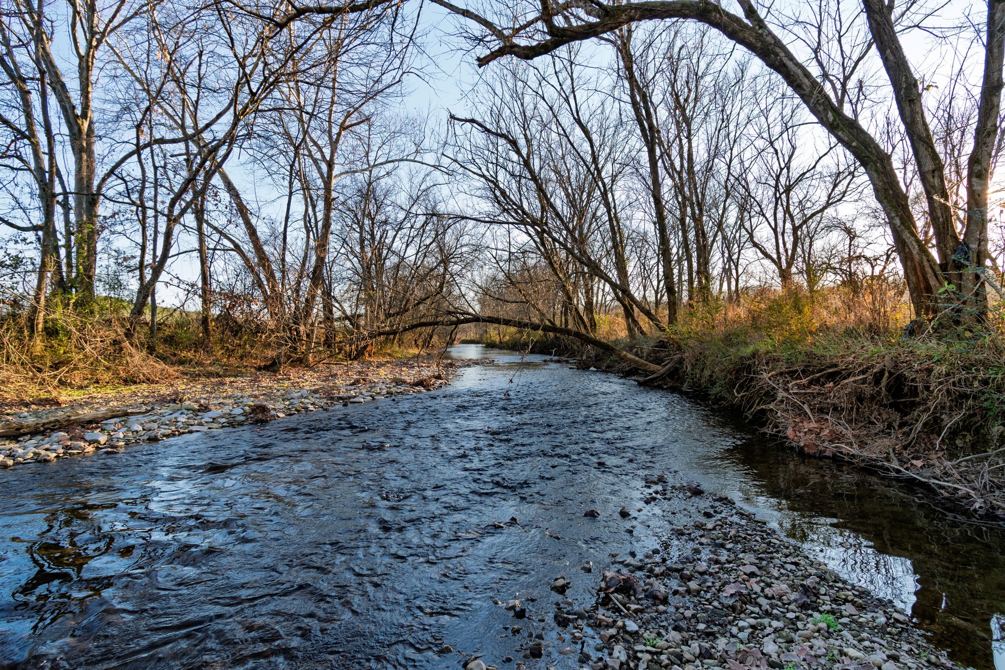 4824 Leipers Creek Road Williamsport, TN 38487 - Photo 2 of 34 a backyard of a house with large trees