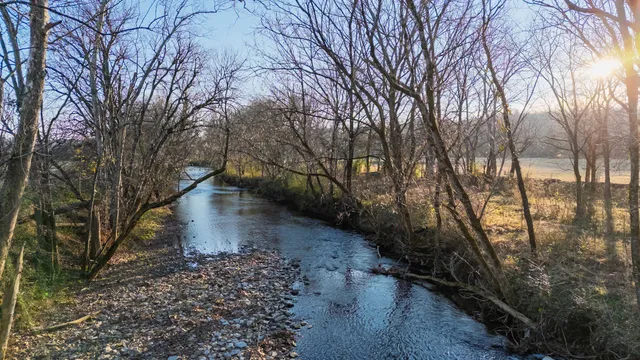 a view of a yard with trees