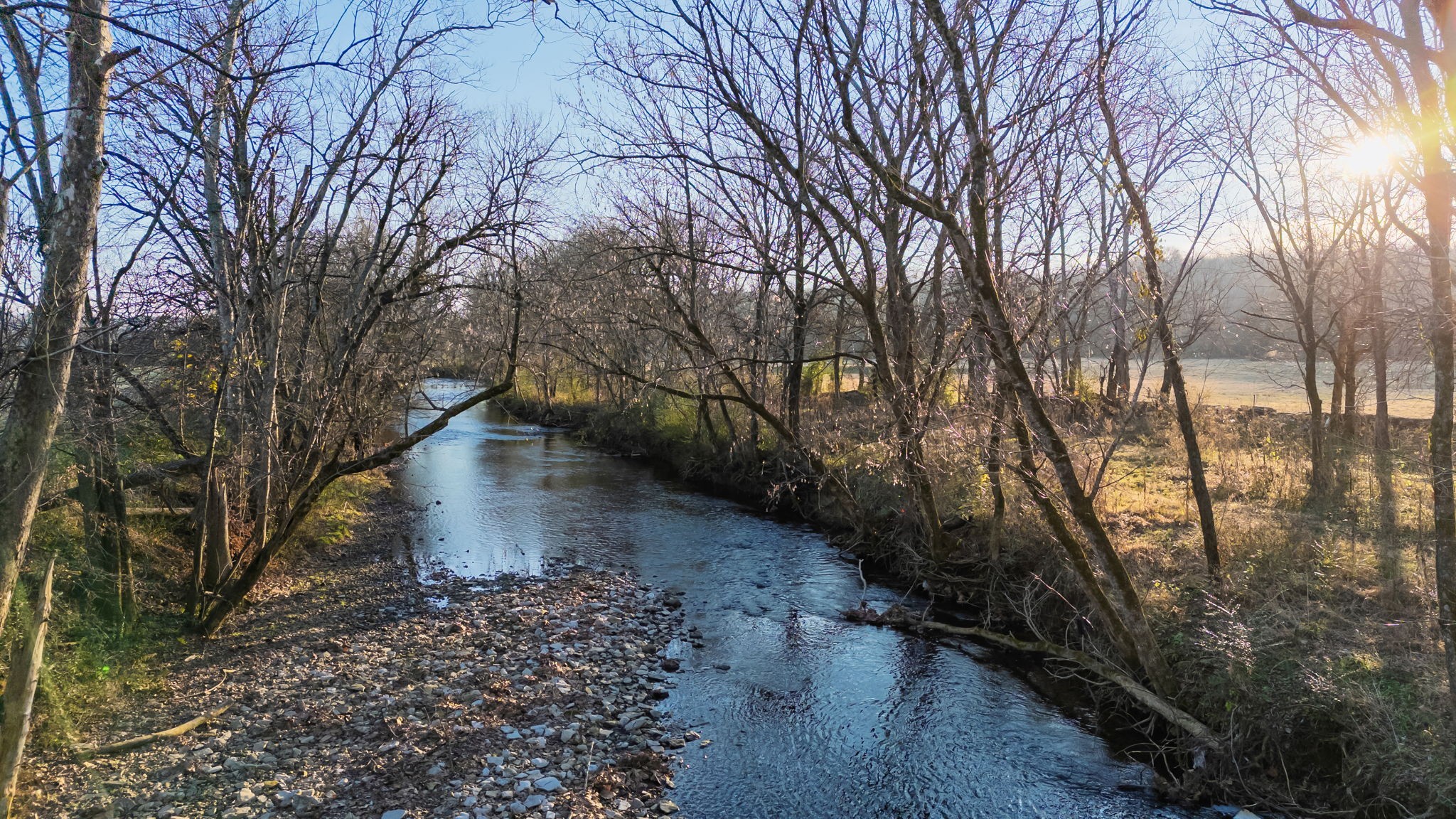 4824 Leipers Creek Road Williamsport, TN 38487 - Photo 25 of 34 a view of a yard with trees