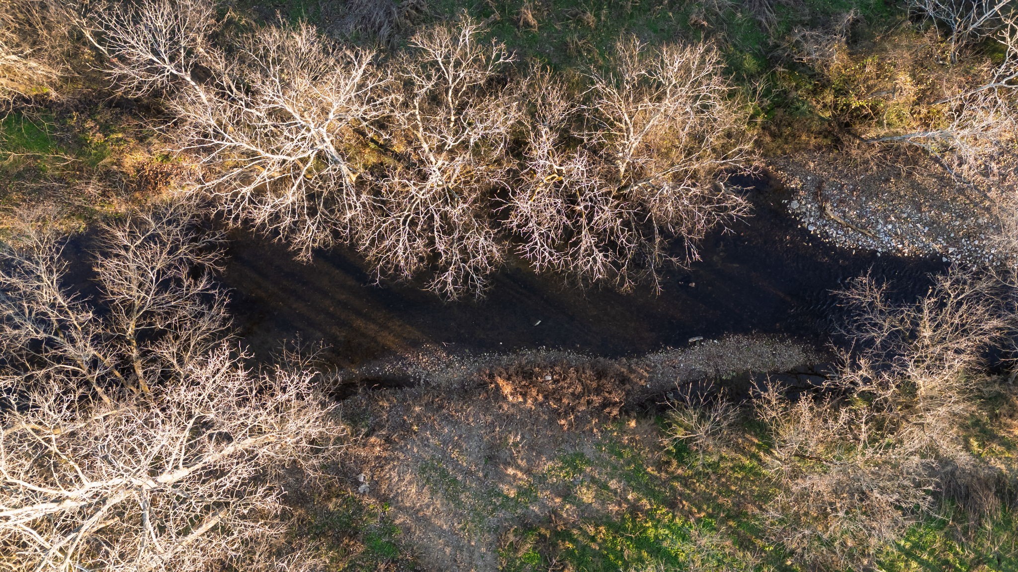 4824 Leipers Creek Road Williamsport, TN 38487 - Photo 30 of 34 a view of a yard with a tree