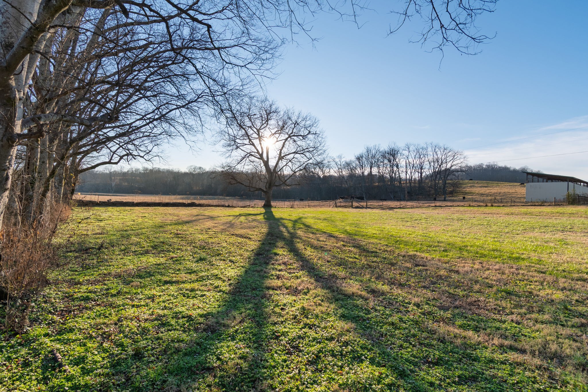 4824 Leipers Creek Road Williamsport, TN 38487 - Photo 33 of 34 a view of an ocean with large trees